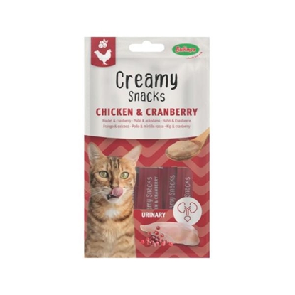 Picture of Bubimex Chicken and Blueberry Urinary Snack by 60gr by 4pkts